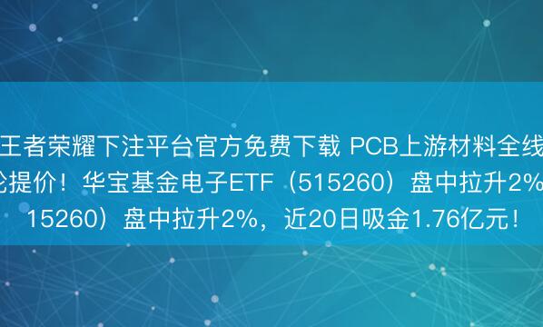 王者荣耀下注平台官方免费下载 PCB上游材料全线加价！电子布年内5轮提价！华宝基金电子ETF（515260）盘中拉升2%，近20日吸金1.76亿元！
