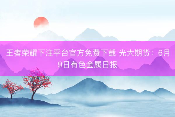 王者荣耀下注平台官方免费下载 光大期货：6月9日有色金属日报