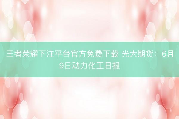 王者荣耀下注平台官方免费下载 光大期货：6月9日动力化工日报