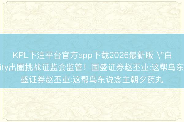 KPL下注平台官方app下载2026最新版 
