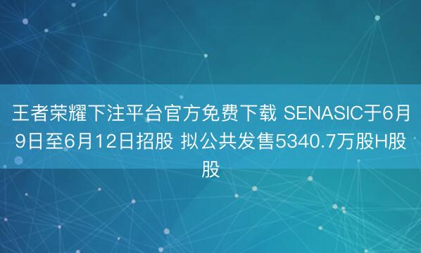 王者荣耀下注平台官方免费下载 SENASIC于6月9日至6月12日招股 拟公共发售5340.7万股H股