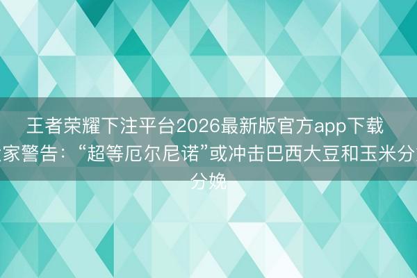 王者荣耀下注平台2026最新版官方app下载 大家警告：“超等厄尔尼诺”或冲击巴西大豆和玉米分娩