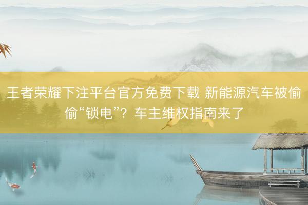 王者荣耀下注平台官方免费下载 新能源汽车被偷偷“锁电”？车主维权指南来了