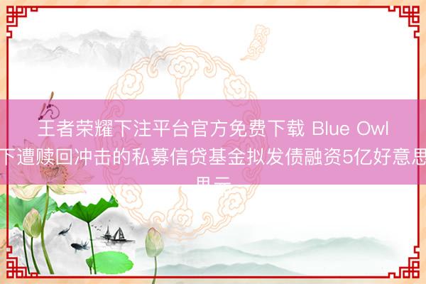 王者荣耀下注平台官方免费下载 Blue Owl旗下遭赎回冲击的私募信贷基金拟发债融资5亿好意思元