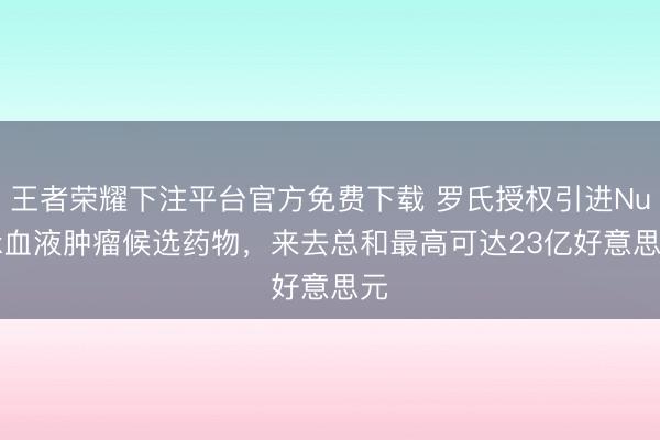 王者荣耀下注平台官方免费下载 罗氏授权引进Nurix血液肿瘤候选药物，来去总和最高可达23亿好意思元