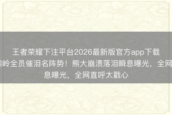 王者荣耀下注平台2026最新版官方app下载 熊出没狗熊岭全员催泪名阵势！熊大崩溃落泪瞬息曝光，全网直呼太戳心